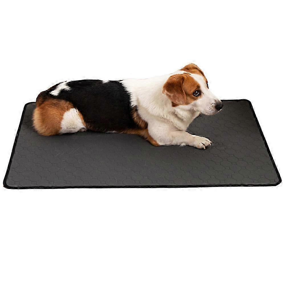Crate-Safe Dog Pee Pad Reusable Leakproof