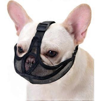 Short Snout Dog Muzzle with Open Eye Holes, Breathable Mesh Adjustable Anti-Biting Training Muzzle for French Bulldog, Pug, Pekingese, Black, M