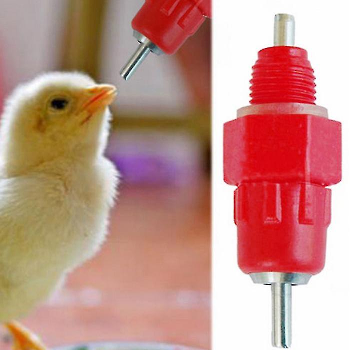 50pcs Pollo Poultry Auto Bebedor