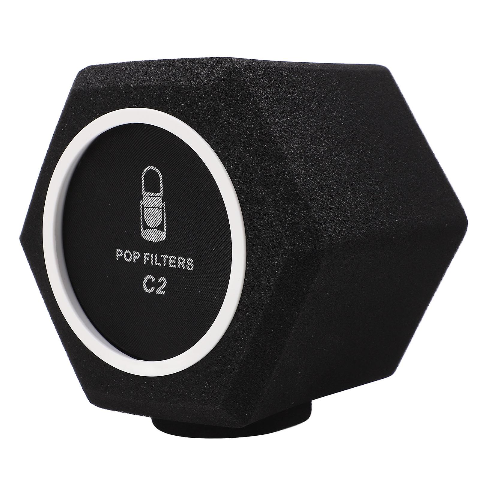 C2 Microphone Sponge Cover High Density Microphone Windscreen Professional Microphone Recording Isolation Booth