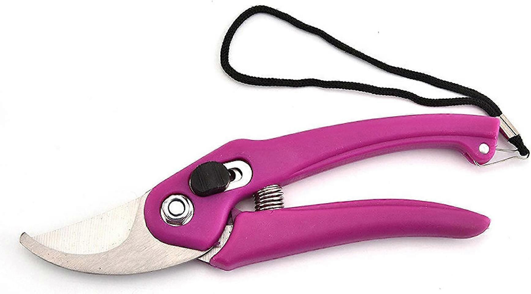 2 pcs Garden Tools Tree Pruner Garden Secateurs Branch Pruning Shears High Carbon Steel Material Sharp/Durable Hand Tools With String 3Note: The data