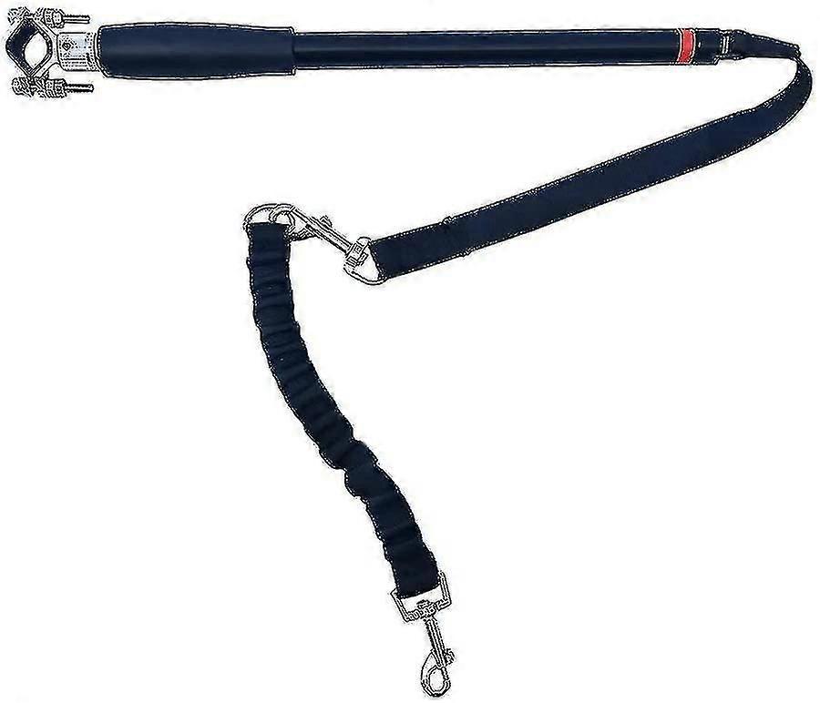 Dog Leash With Hands-free Bicycle Attachment