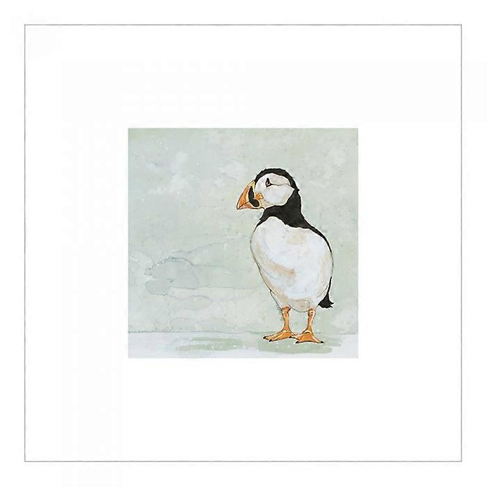 Bev Davies Gazing Puffin Papir Print