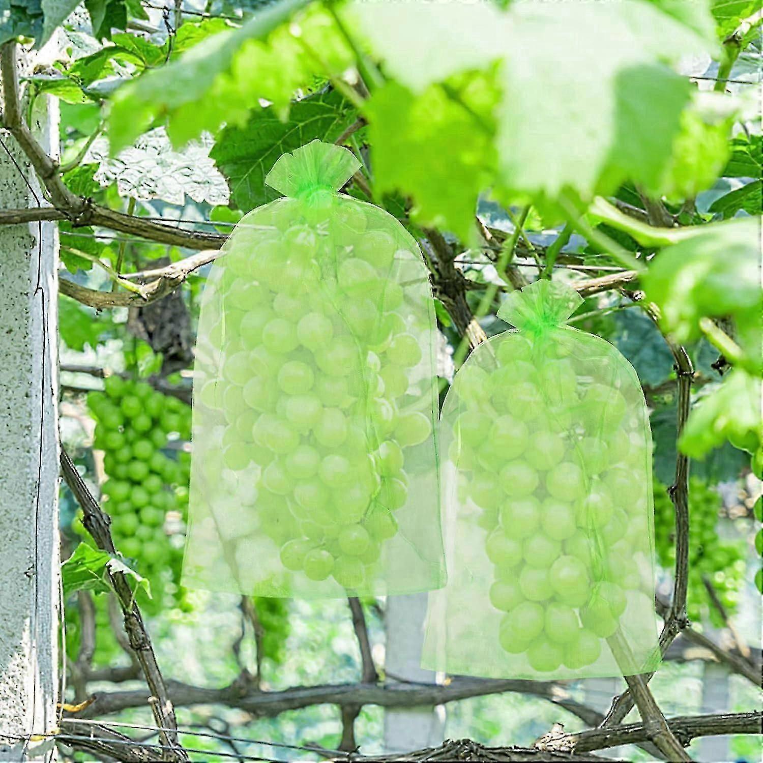 Sacos de proteção de frutas com cordão, 60 cachos de uva cobrem malha de organza de 30x20cm para prevenção de pragas