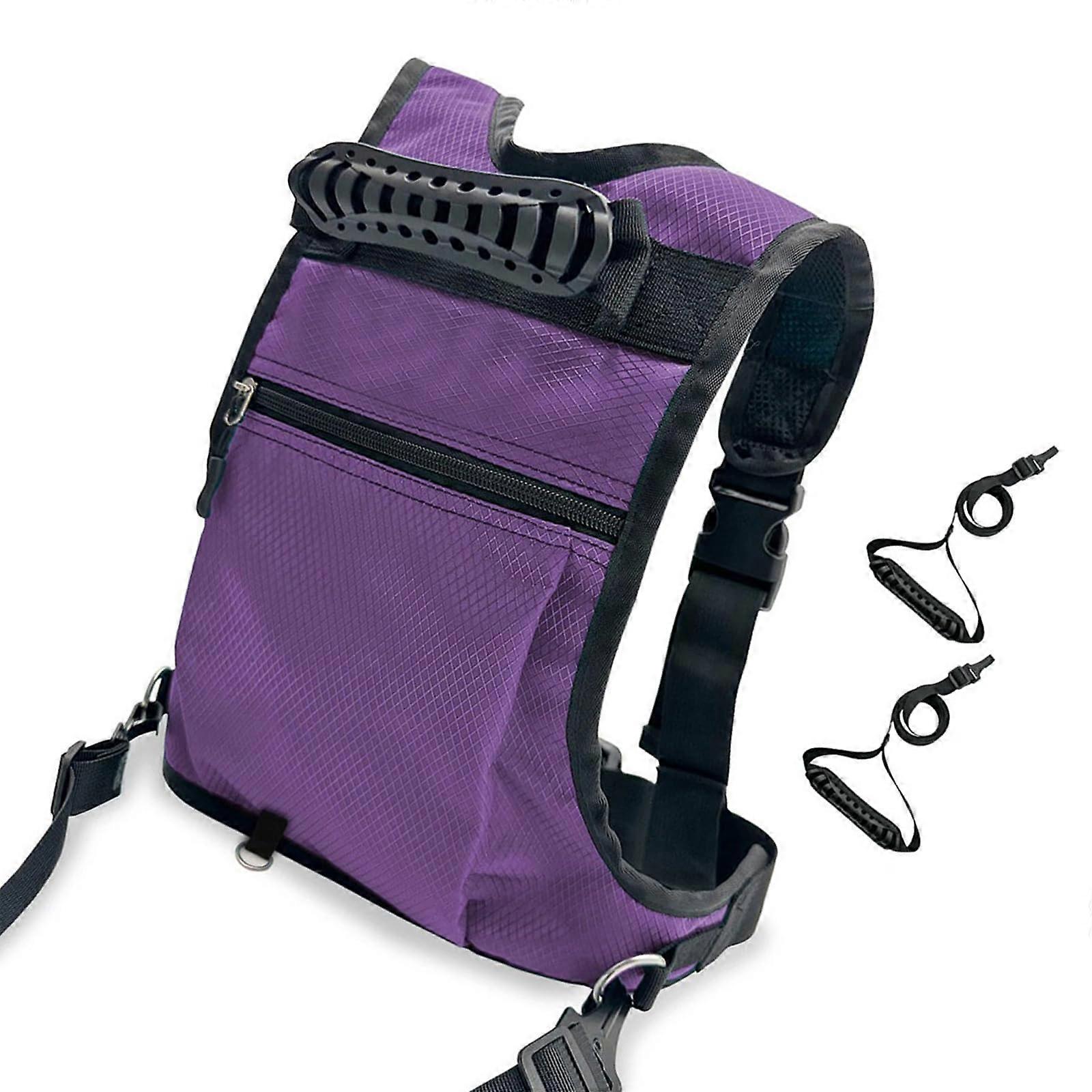 Kids Ski Harness with Leash and Backpack for Snowboard Training and Speed Control