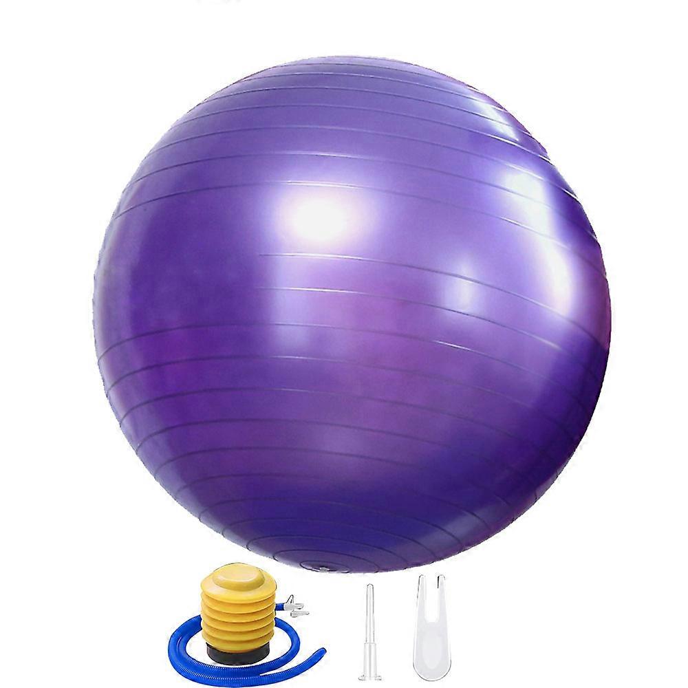 Sporting Goods > Exercise & Fitness > Exercise Balls