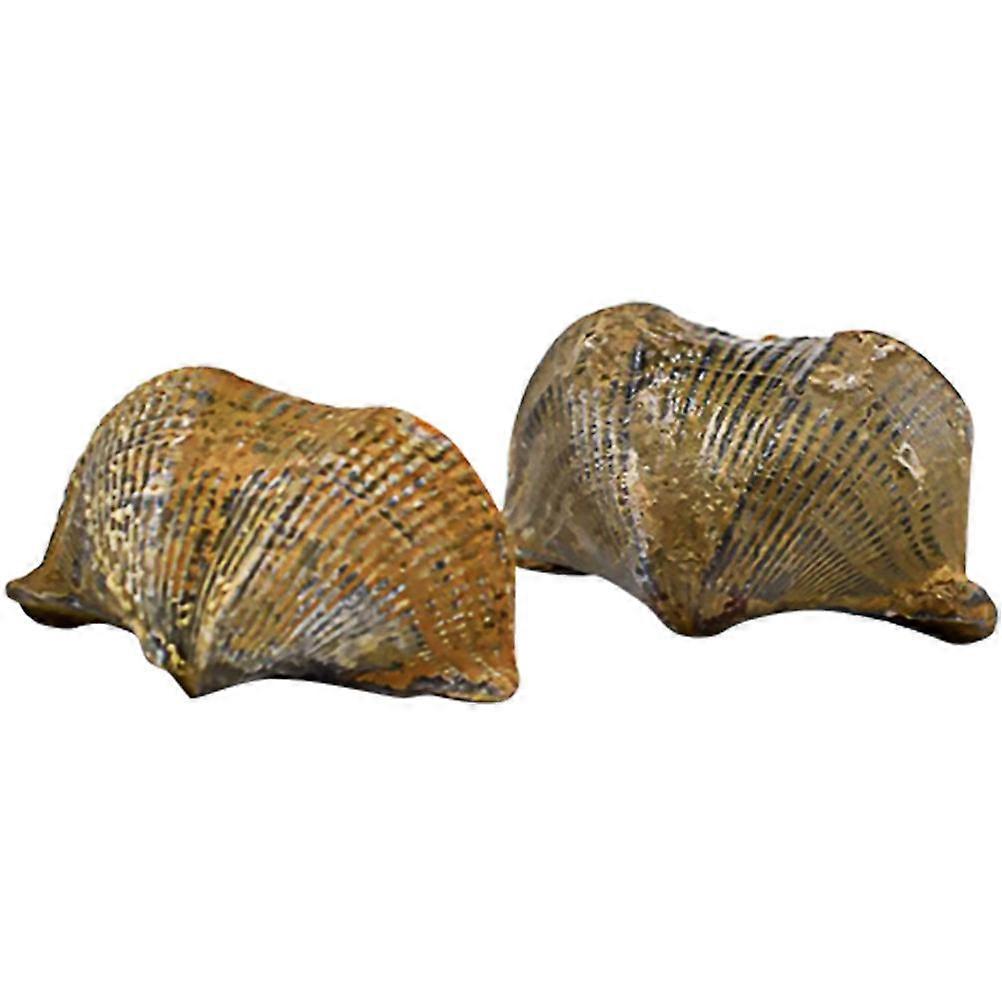 Golden Brachiopod Specimen for Decoration 2Pcs Educational Science Props