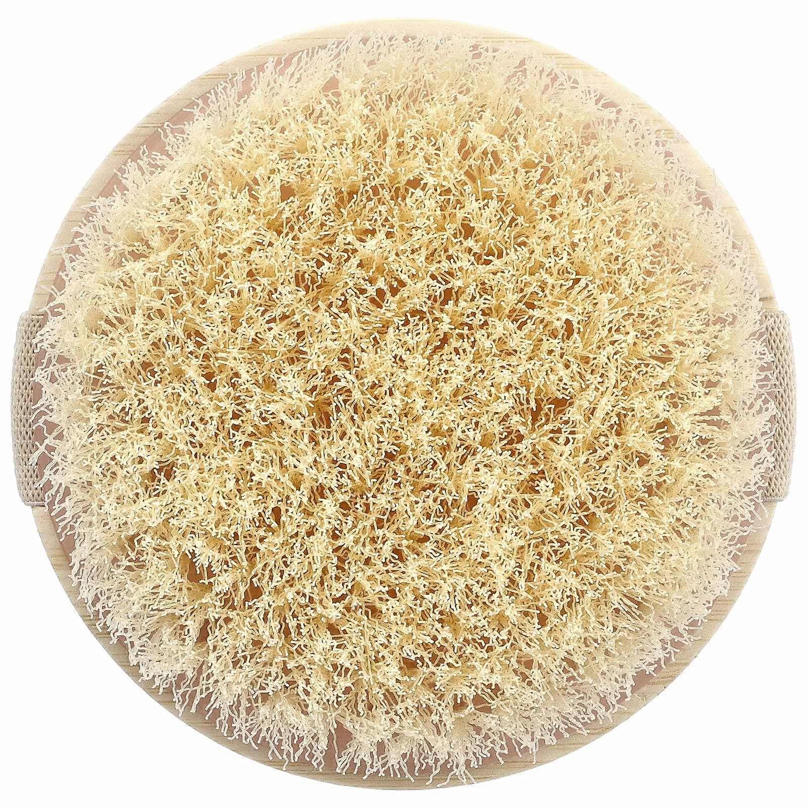 EcoTools, Dry Body Brush, 1 Brush, 3-Pack