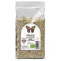 Buckwheat grain Eco 500 g