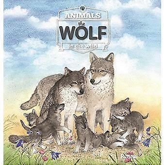 Der Wolf (Tiere in freier Wildbahn)