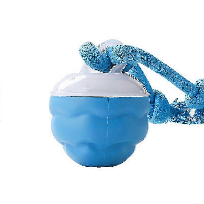 Interactive USB Dog Ball Toy