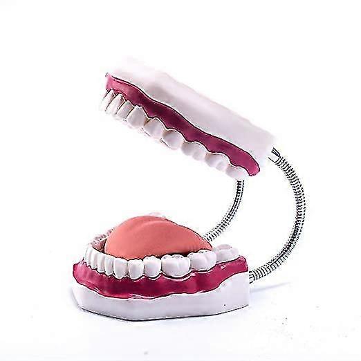 Big Tooth Model 6 Times Magnified Mouth Model With 32 Teeth And Movable Tongue For Dental Presentation And Speech Language Training 1 Piece Picture Co