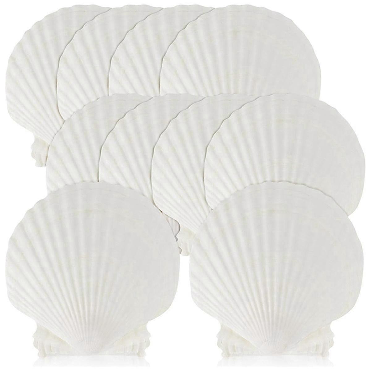 15 PCS Natural Sea Shell White, 4-4.7 Inch Scallop Shells for DIY Craft, Serving Food, Baking and M