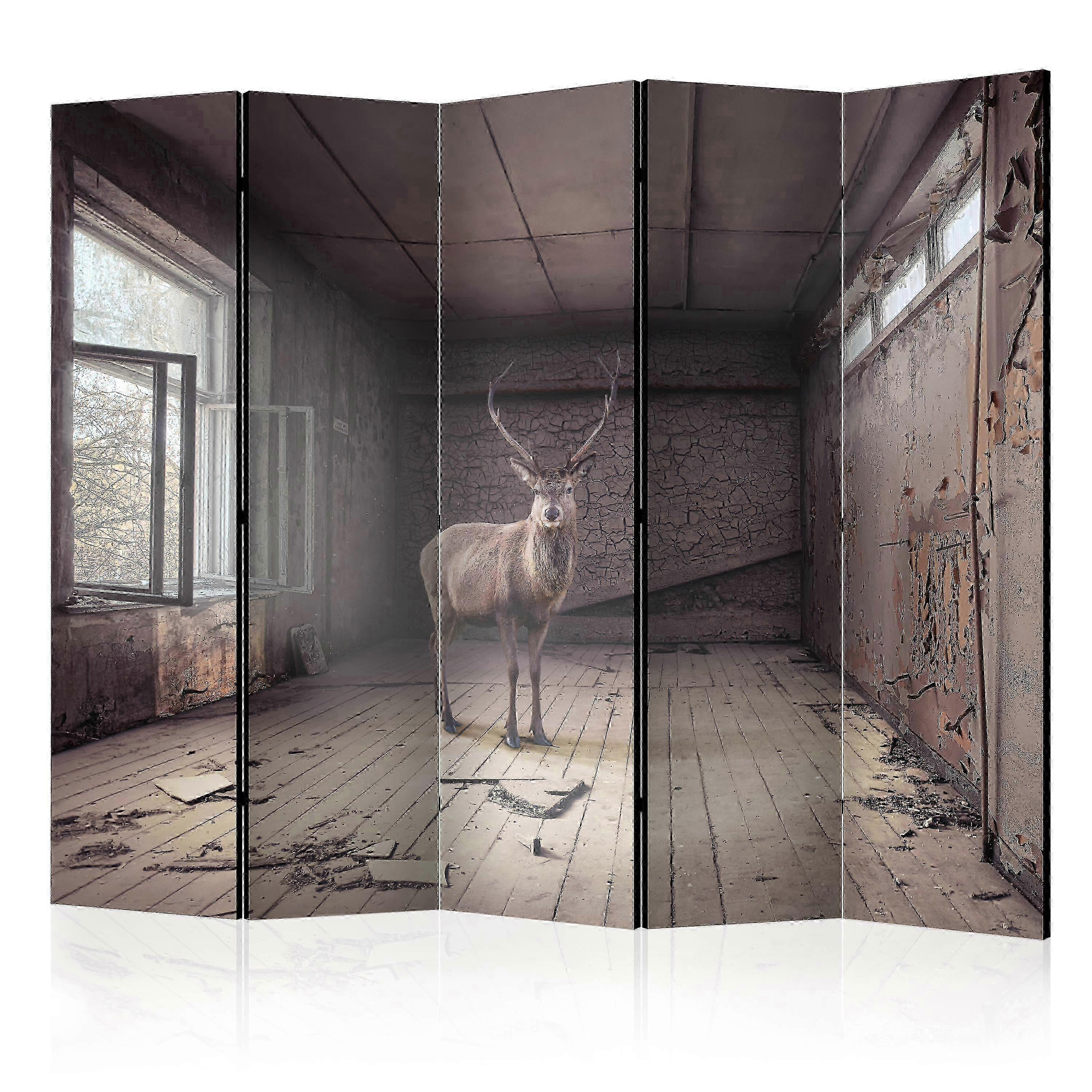 Scheidingswand - Lost II