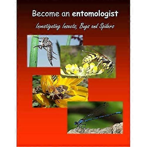 Become an Entomologist : Investigating Insects, Bugs and Spiders