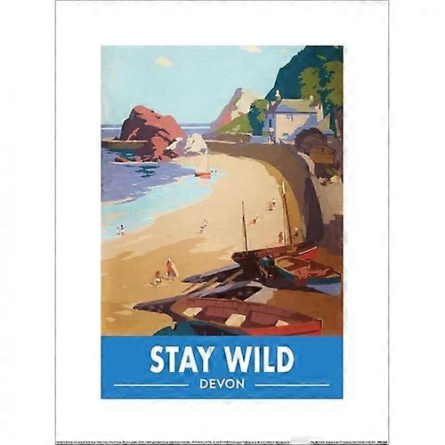 Railway Museum Stay Wild Devon Print