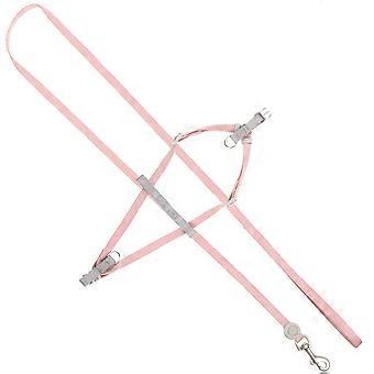 2Sets Dog Harness and Leash for Puppy Adjustable Walk and Control