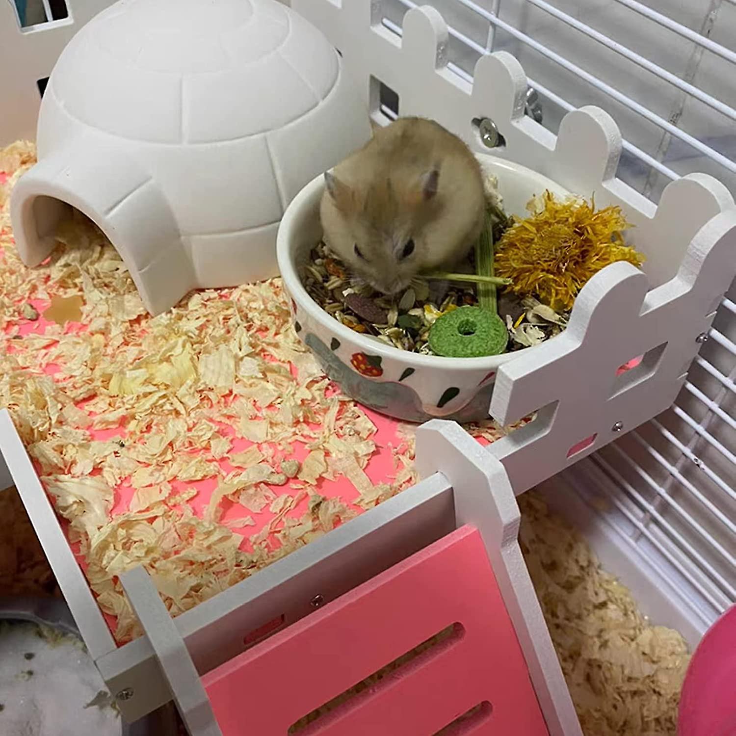 Keramik-Futternapf Für Kleintiere – 2 Stück, Kippsicher, Für Hamster, Meerschweinchen & Mehr (Rot)