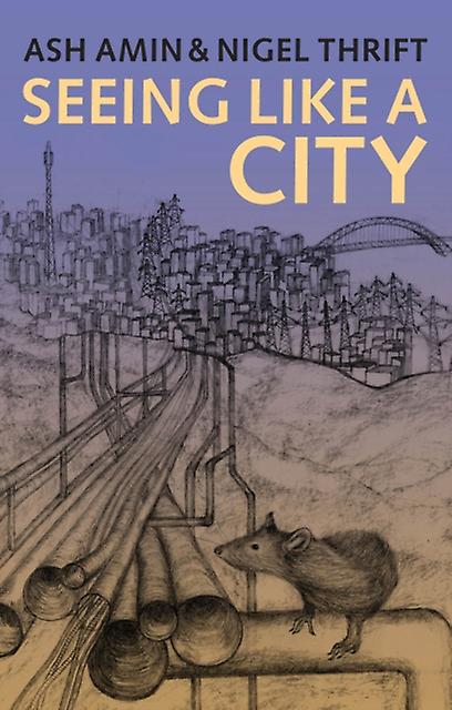 Seeing Like A City - Amin, Ash