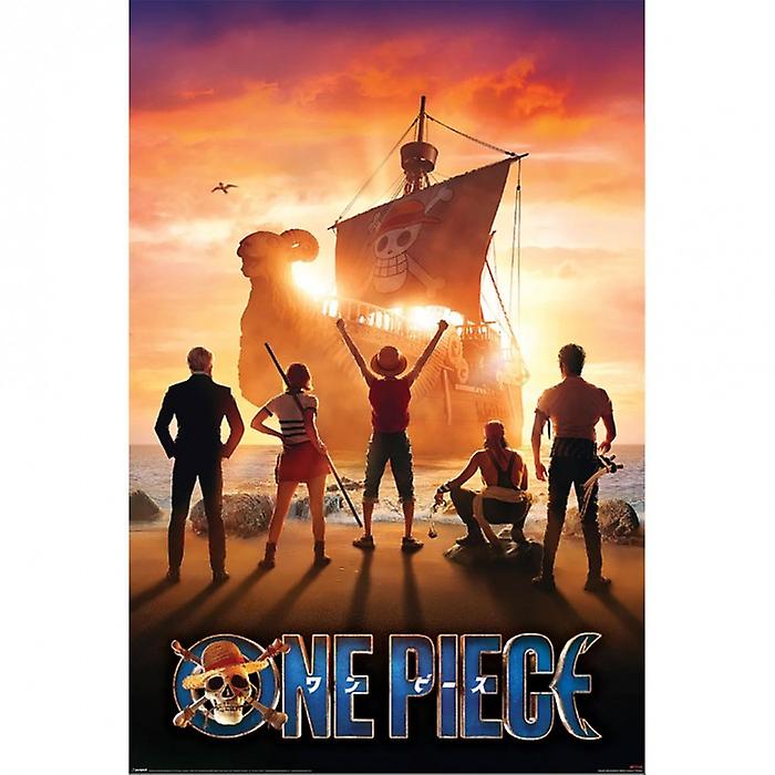 One Piece Live Action Poster