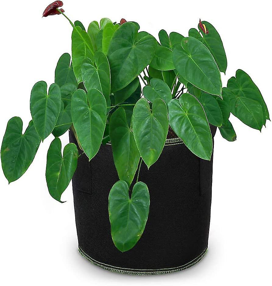 Pack De 5 Bolsas De Cultivo De Fieltro De 30 Litros (35x28cm) | Para Patatas, Tomates, Fresas, Pimientos... - Con Asas Y Etiquetas, Reutilizables Y Transpirables