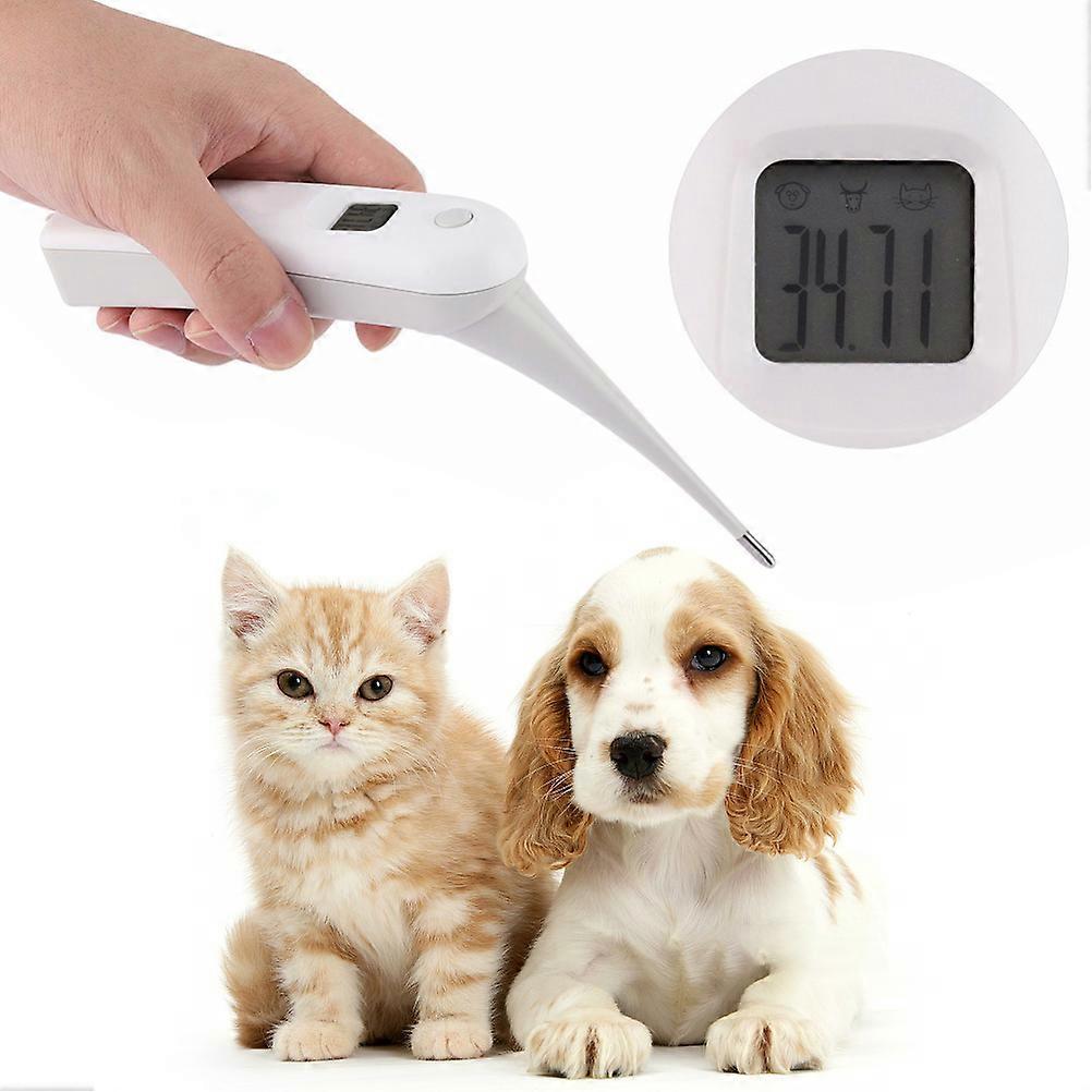 Vet Thermometer Pet Digital Thermometer Electronic Thermometer for Animals