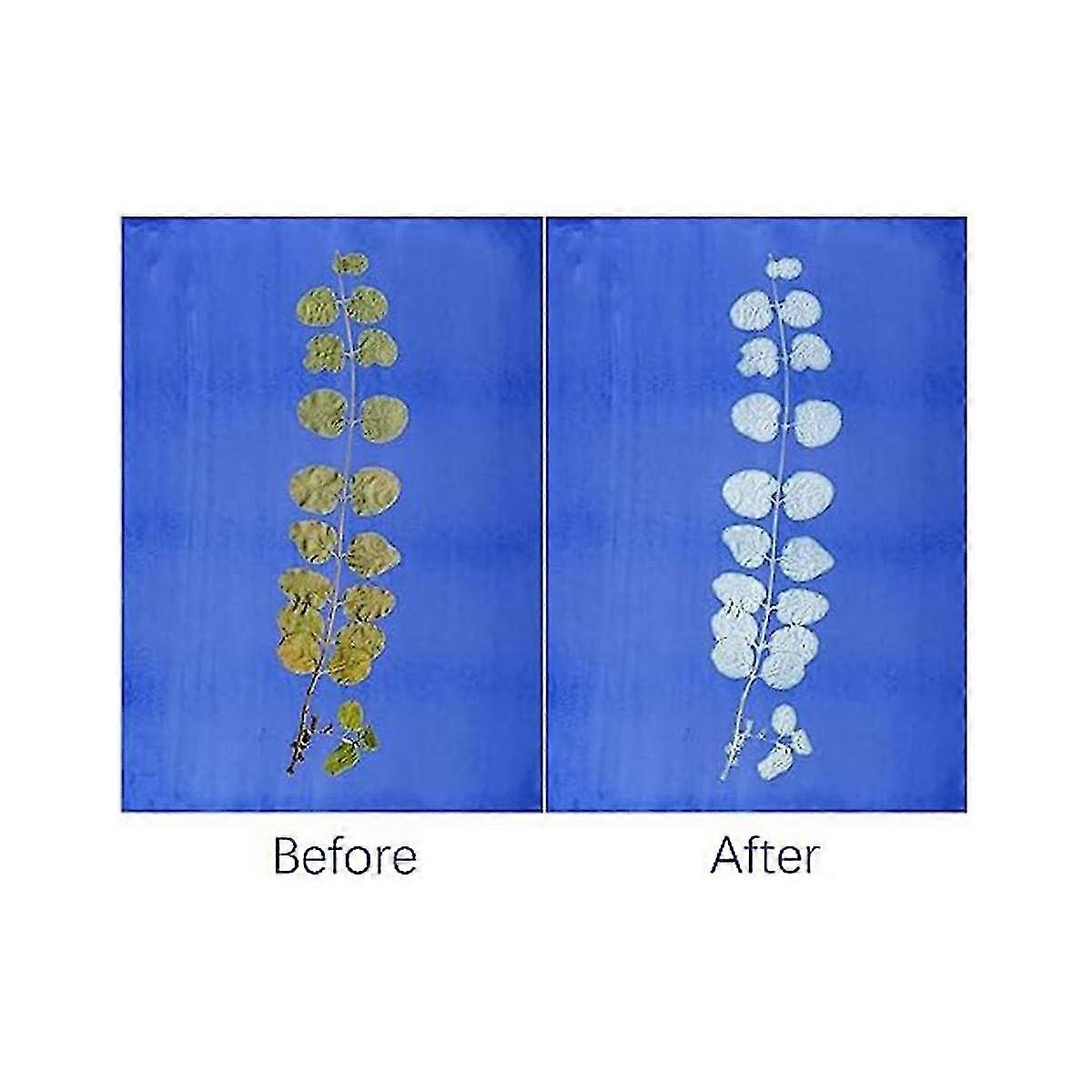 Kit Papier Cyanotype A4 – Impression Solaire DIY – 30 Feuilles – Art Créatif Pour Enfants Et Adultes Activité Créative Enfants Adultes Kit Papier Cyanotype A4 – Impression Solaire DIY – 30 Feuilles – Art Créatif Pour Enfants Et Adultes Activité Créative Enfants Adultes