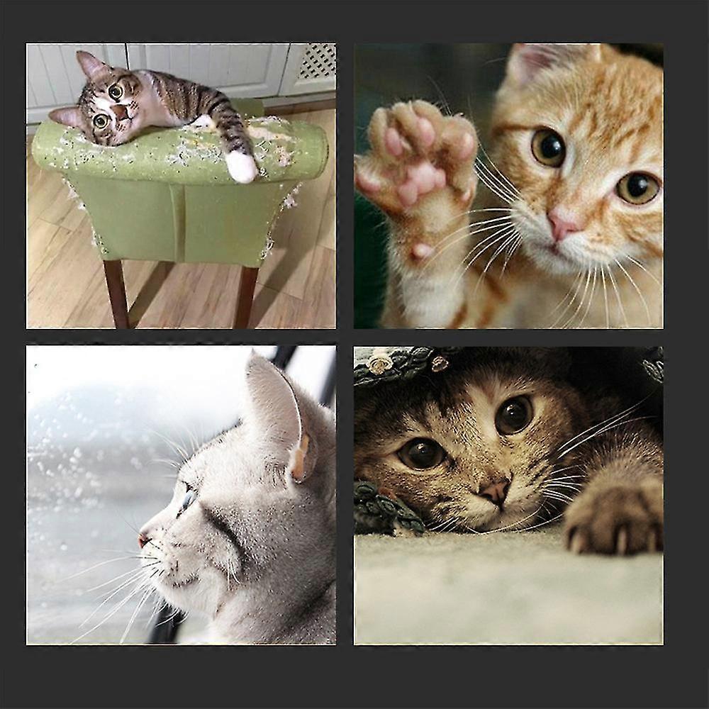 Magic Organ Cat Scratching Board Convenient Interactive Scratcher Cat Toy