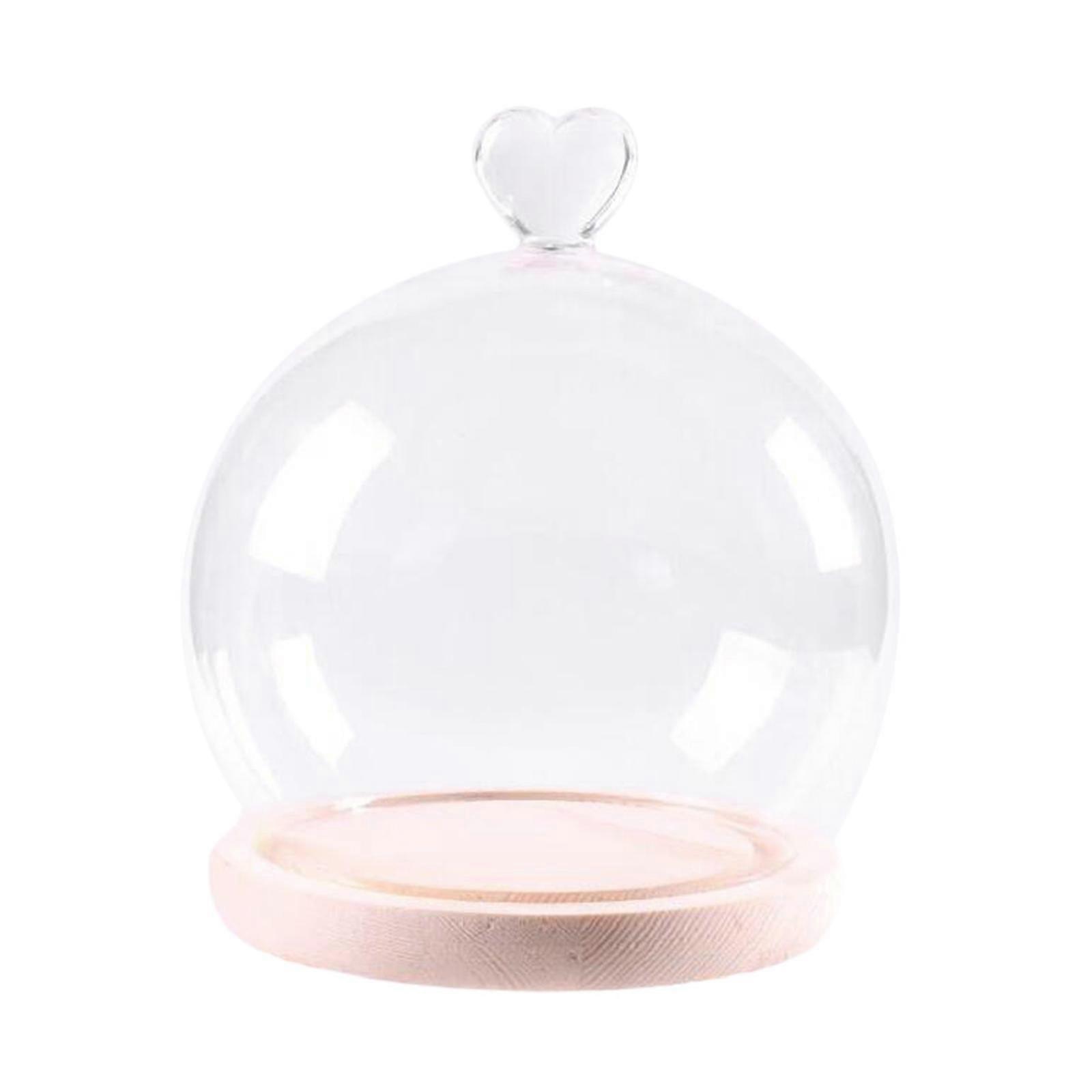Display Dome with Wooden Base Display Case DIY Valentines Day Decor Showcase