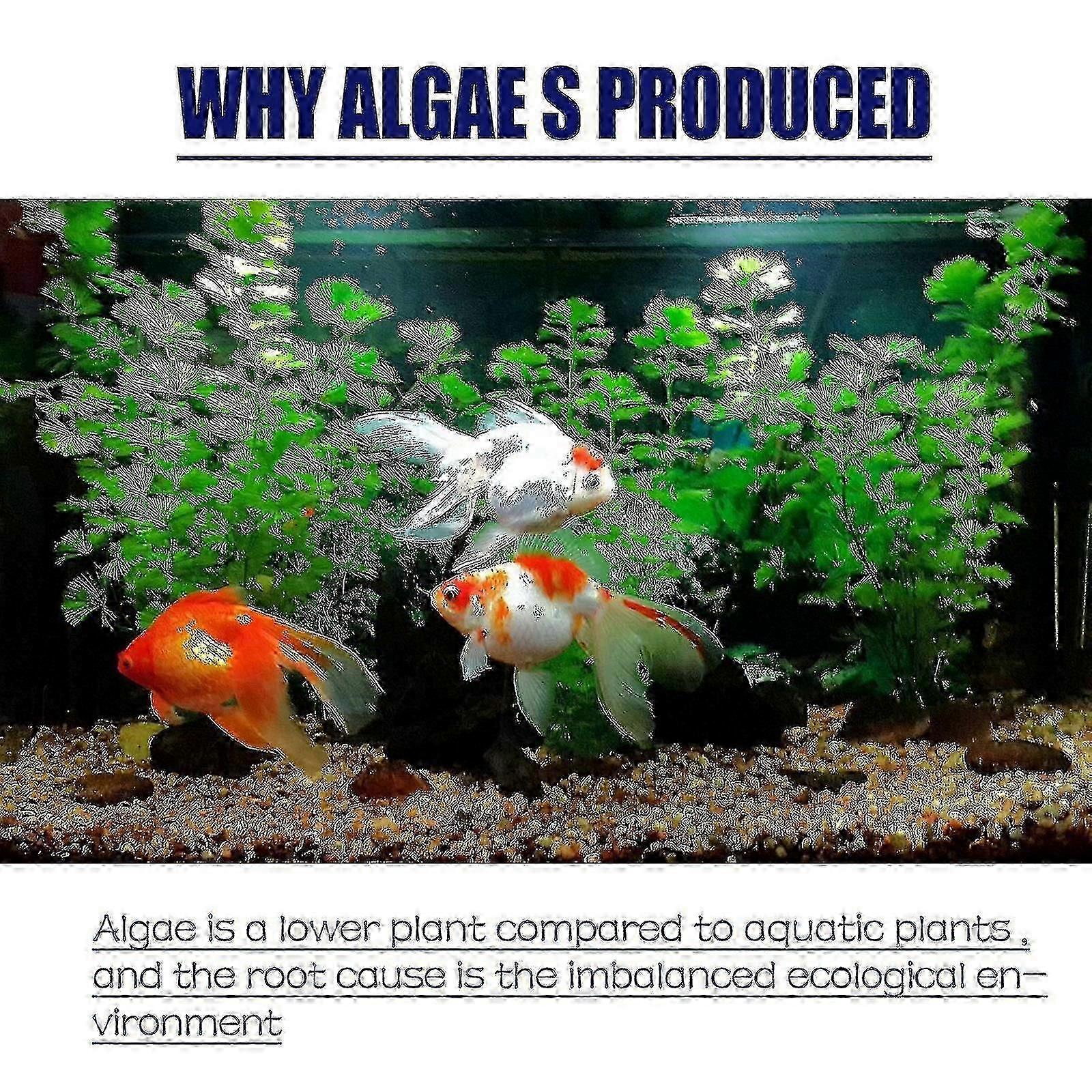 OUHOE algaecide algae removal aquarium algae removal agent fish tank algae removal agent remo~A