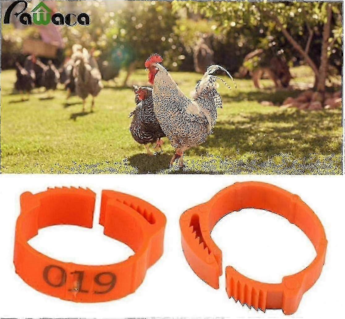 100pcs Chicken Pens With Adjustable Size, Poultry Legs, Label Buckle, Duck Meat, Chicken Supplement, Orange Yanlieso
