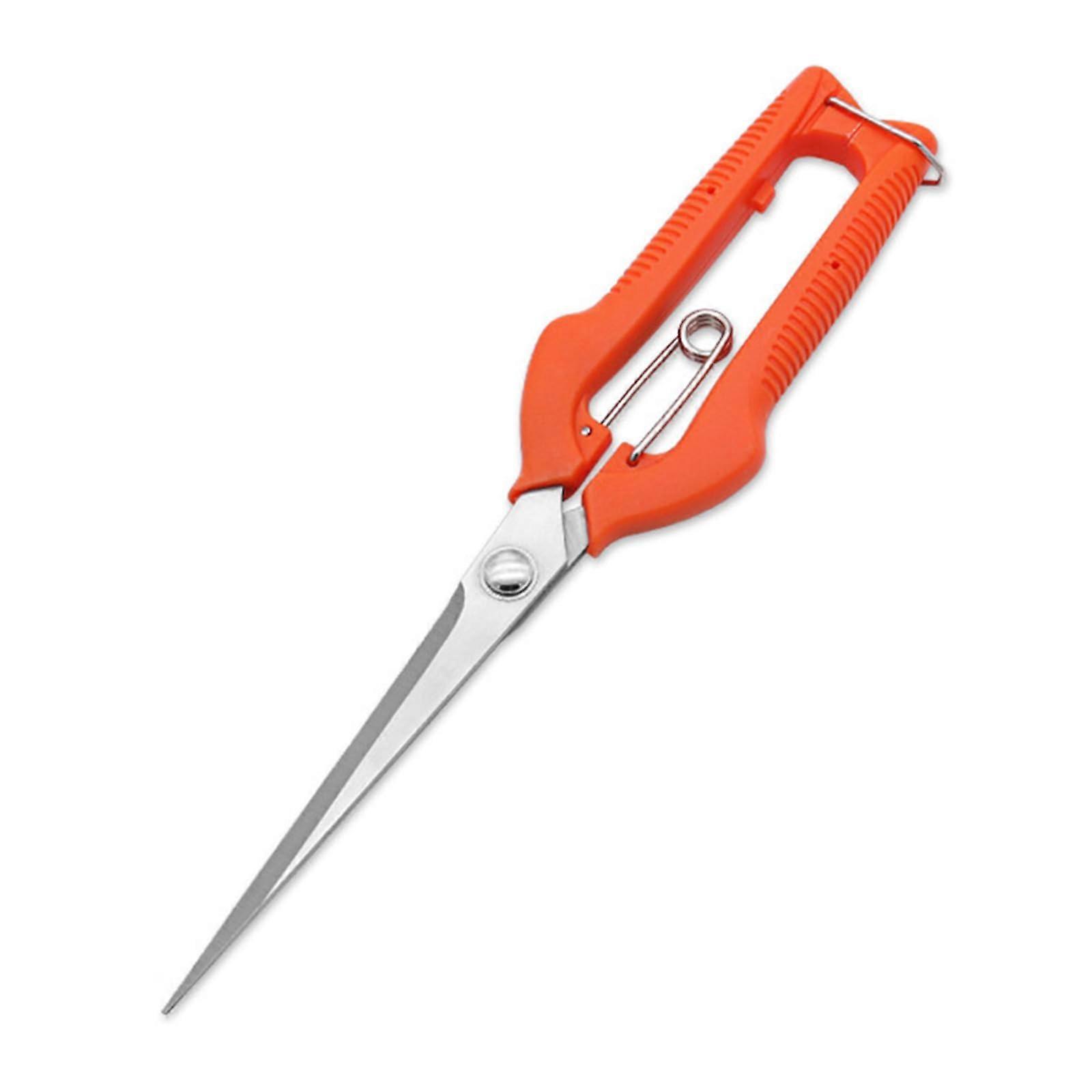 Miniature Lace Garden Shears Stainless Steel Fruit Scissors for Precise Trimming of Herbs and Small Plants