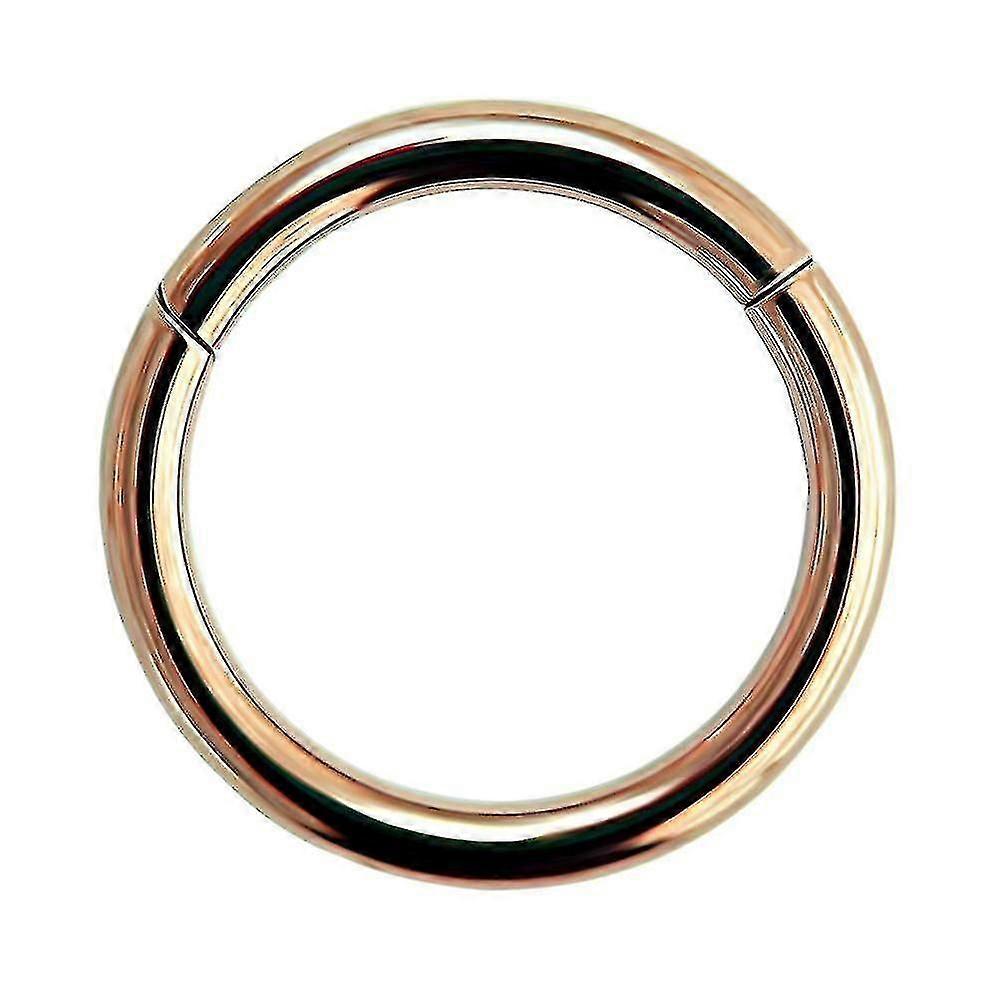 20 Gauge ( 0.8mm ) - 9mm Diameter 316l Surgical Steel Hinged Clicker Segment Nose Ring Piercing