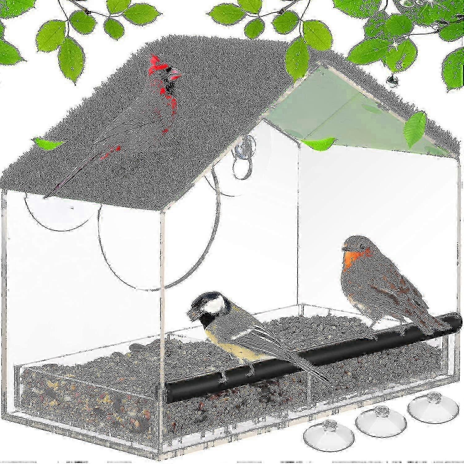 Window Bird Feeder With Strong Suction Cups Bird Window Feeder With Removable