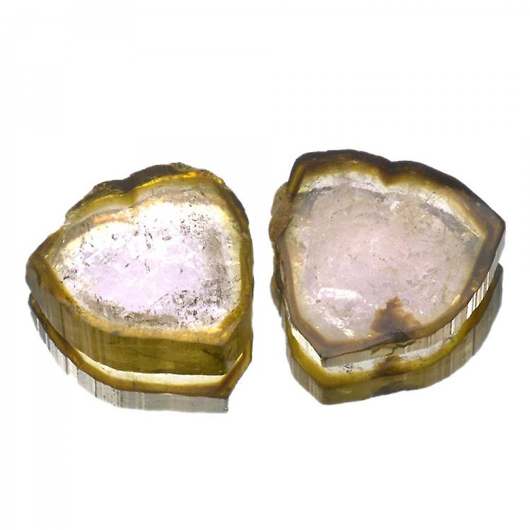 13,95ct Pair.watermelon Tourmaline Slice Cut awo43