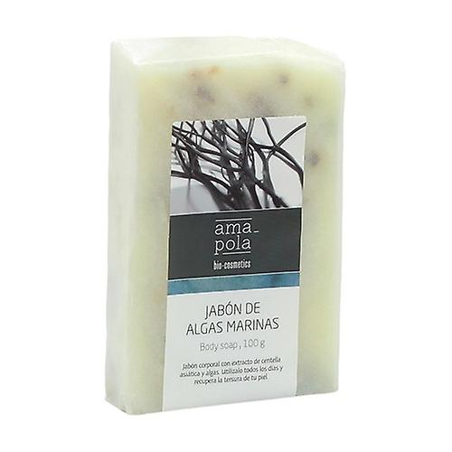 seaweed soap 100 g (Mint)