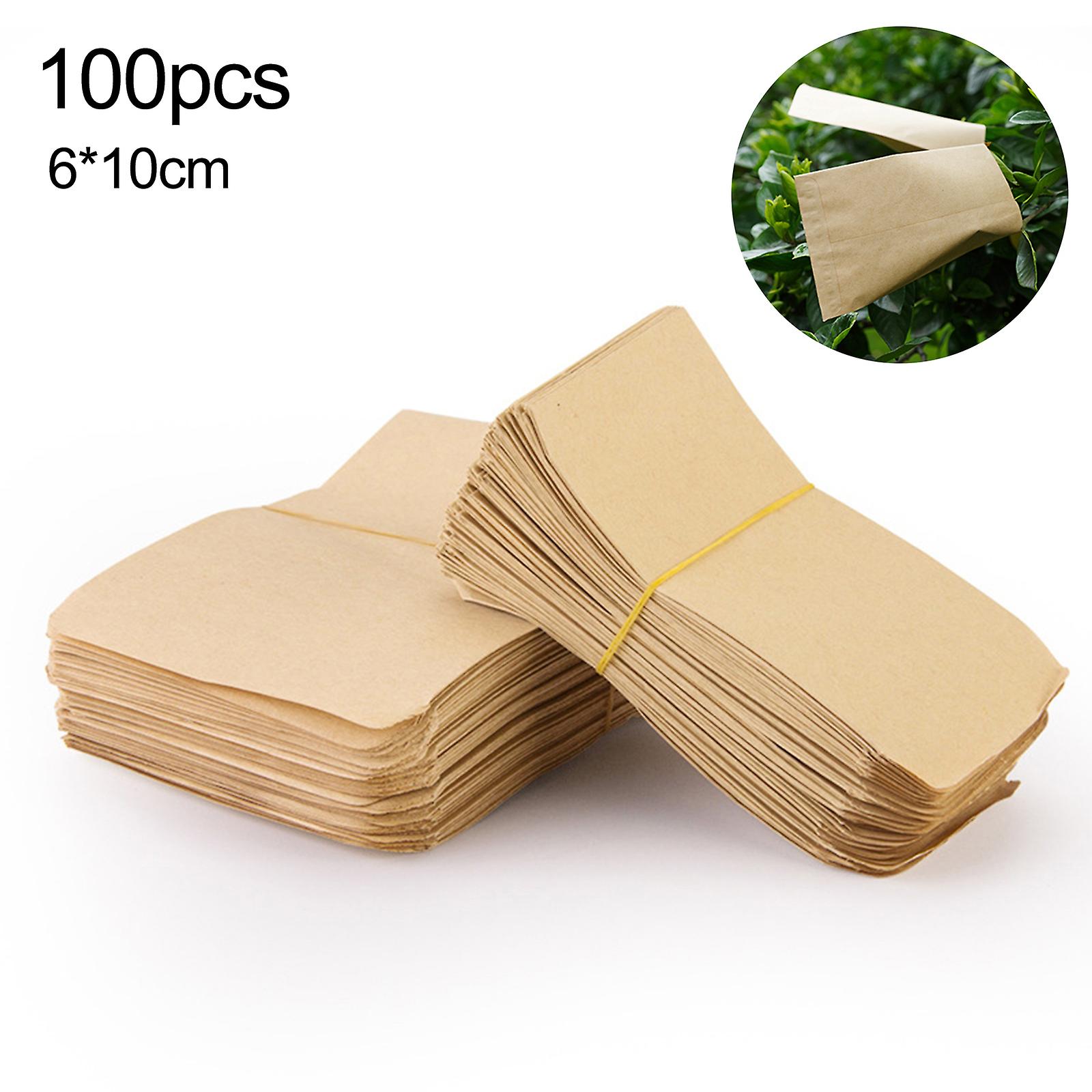 100 Pack Kraft Seed Saving Envelopes Bulk Set Coin Envelopes Kraft Storage Bags