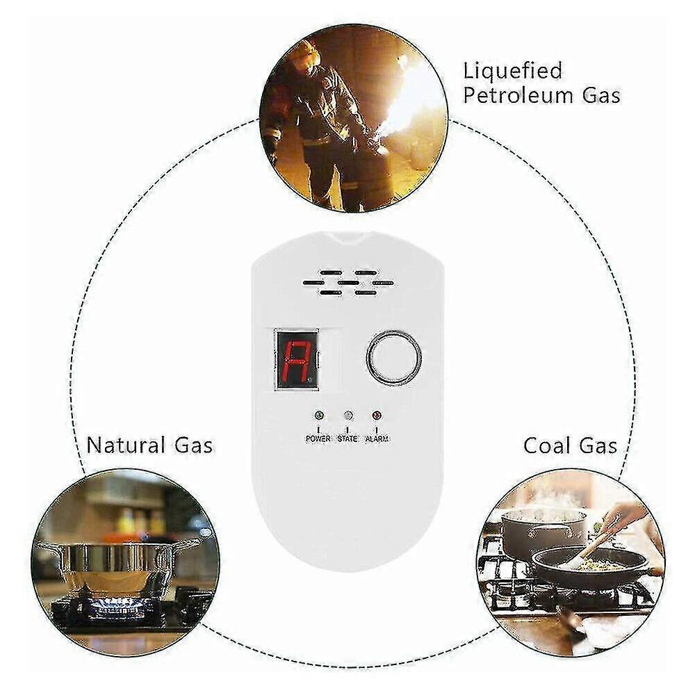 Gas Leak Detector Combustible Gas Detector With Audible And Visual Alarm