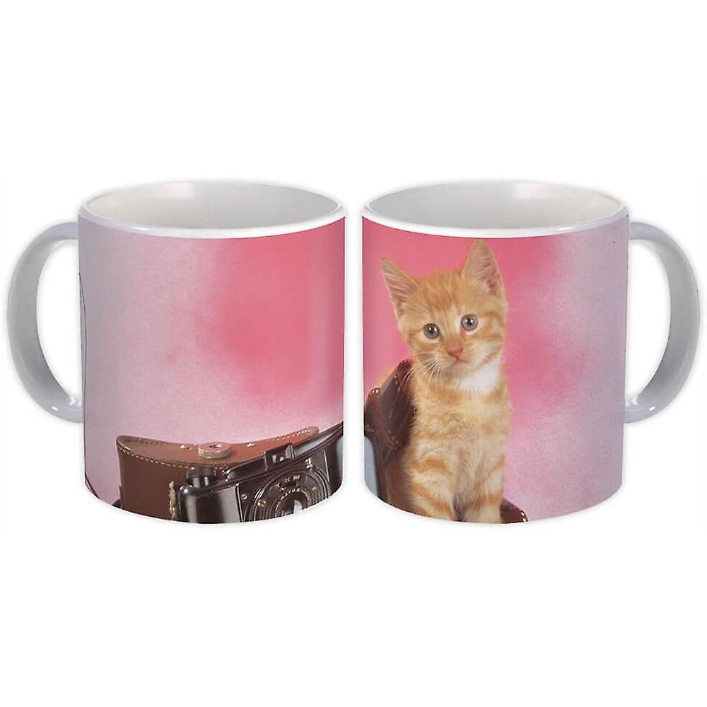 Gift Mug: Cat Kitten
