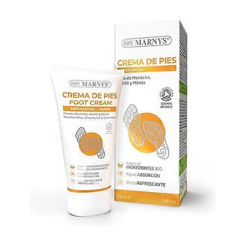 Dermpure Repairing Foot Cream 100 ml of cream