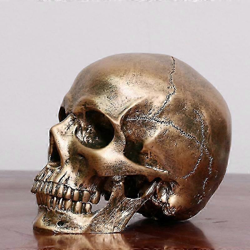 İnsan Bronz Reçine Kafatası Modeli Tıbbi Cadılar Bayramı Gerçekçi 1: 1 Heykel Dekor