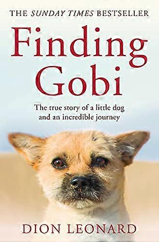 Finding Gobi (Main edition): The true story of a little dog and an incredible journey
