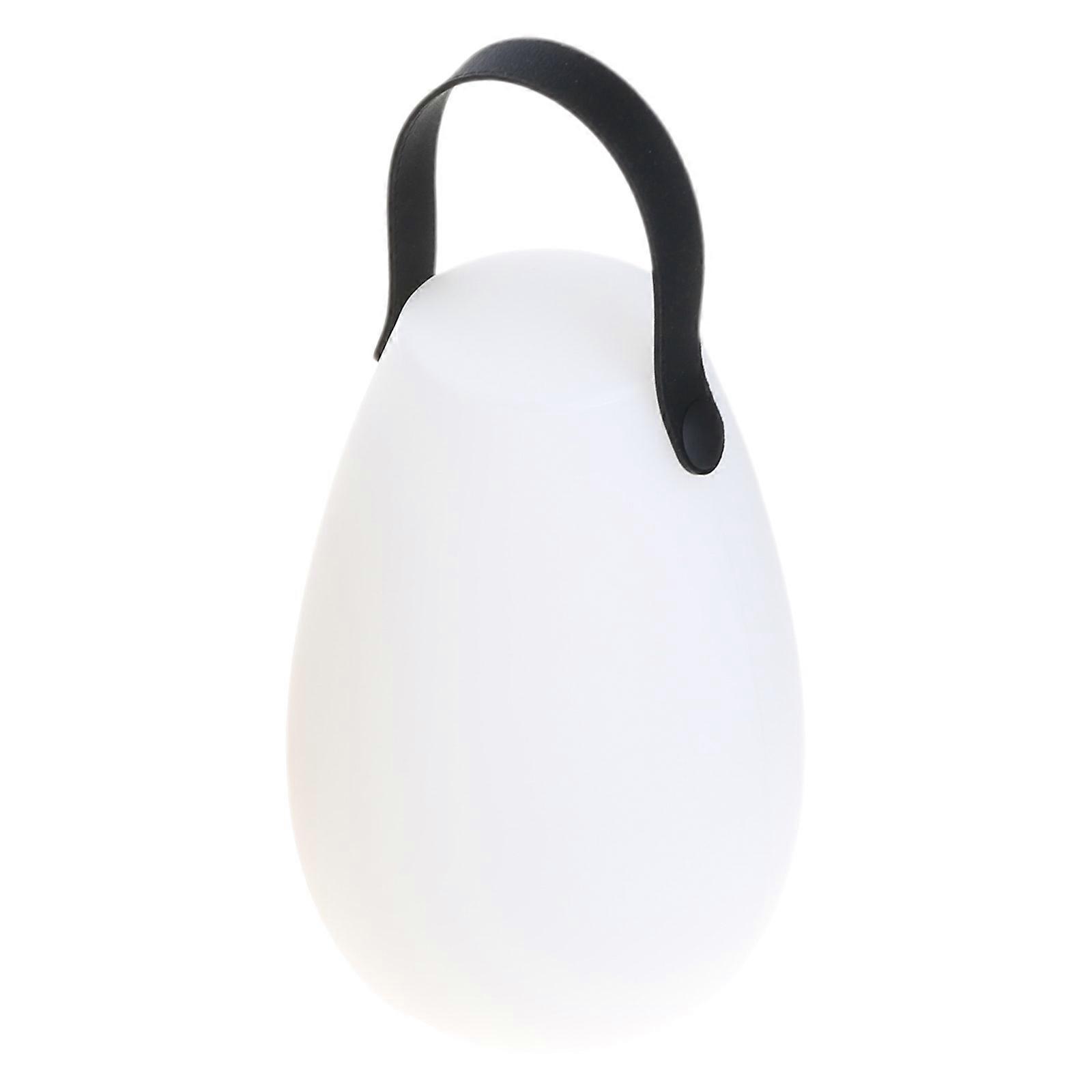 Rechargeable LED Night Light Table Bedside Portable Lamp Remote Control with Handle 8 Colors for Camping Fishing Bedroom Multicolor