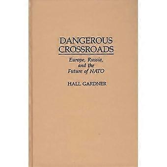 Dangerous Crossroads Europe Russia And The Future Of Nato - Hall Gardner - Hardcover - en Book