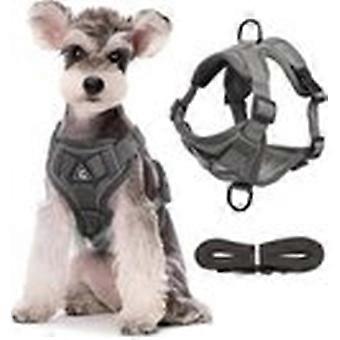 Dog Harness and Leash Set - Triangular Stabilizer Ring - 2 Leash Clips - Adjustable Pet Harness - Padded Vest - Soft Anti-Escape Pet Supplies - Anti-