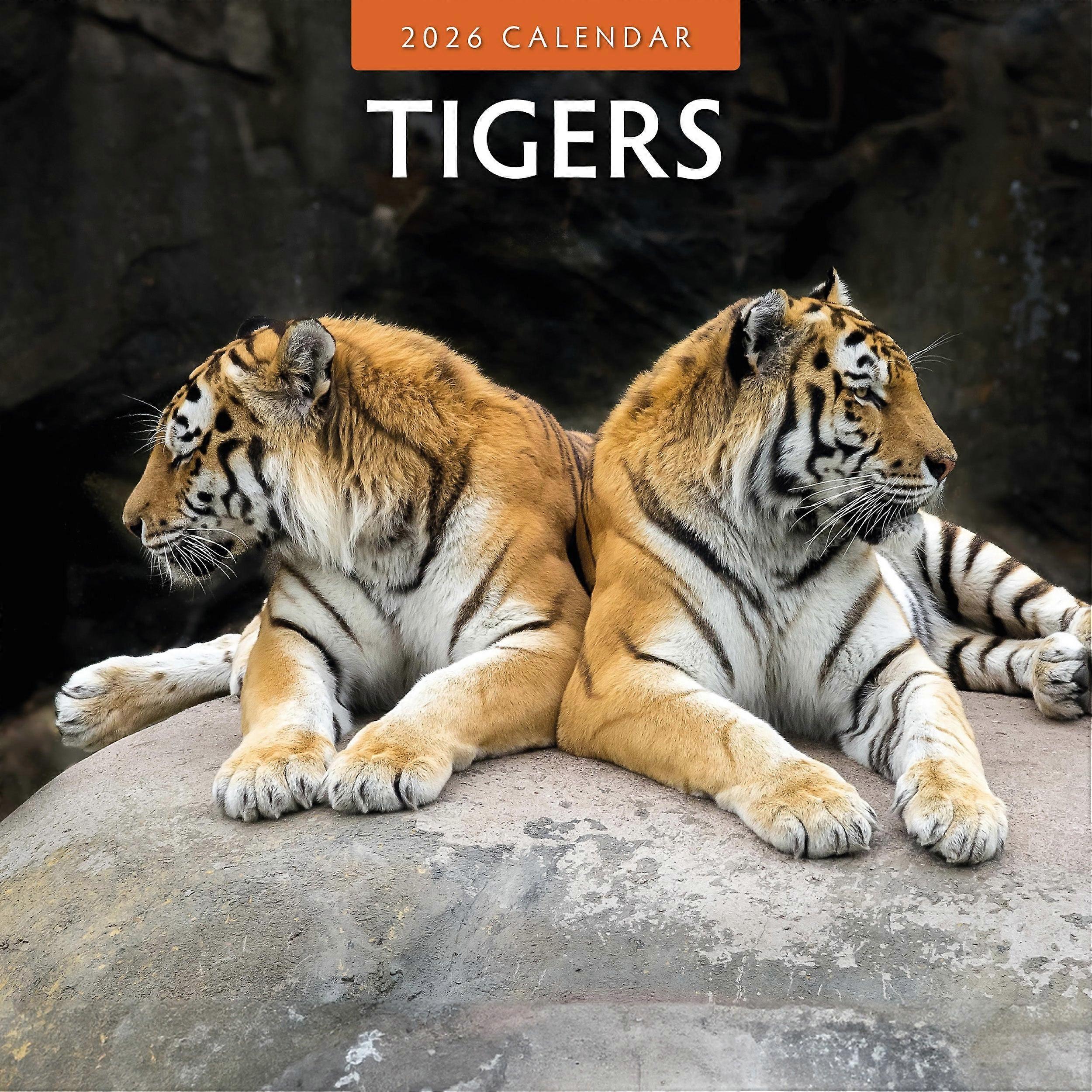 Red Robin Tiger Calendar 2026