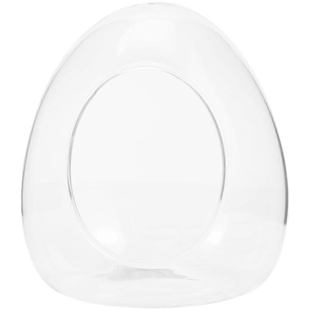 Yumurta Şeklinde Yosunlu Teraryum Kendin Yap Bitki Kabı Modern Tarz 1 Set