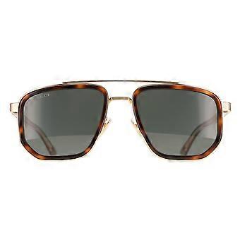 Gucci Sunglasses GG2073S 003 Gold Havana Green