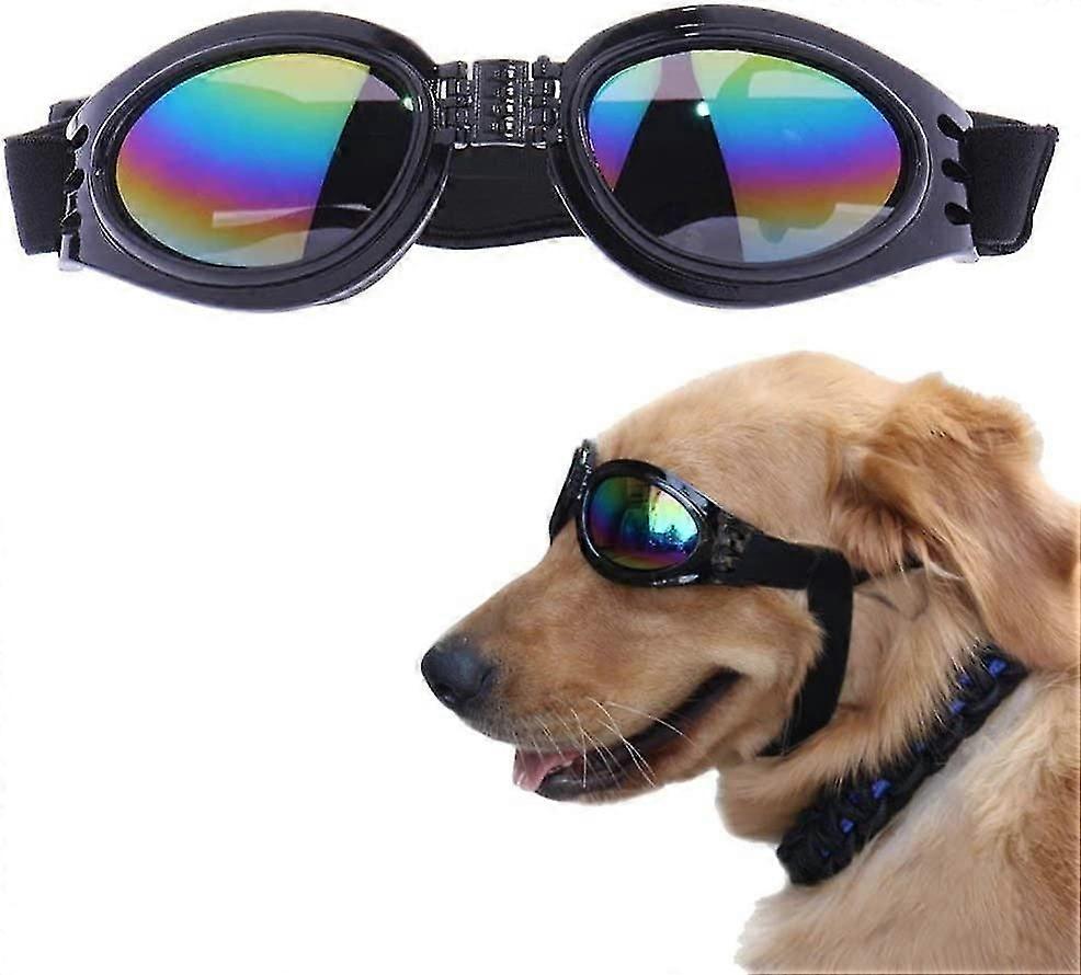 Black Dog Goggles