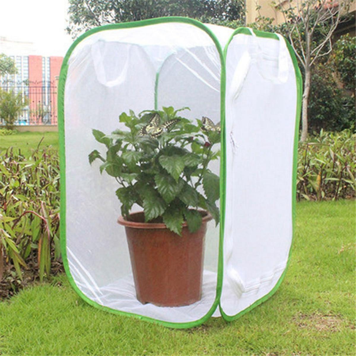 Insect and Butterfly Habitat Cage Terrarium Pop-Up 23.6 Inches Plant Nursery Box C